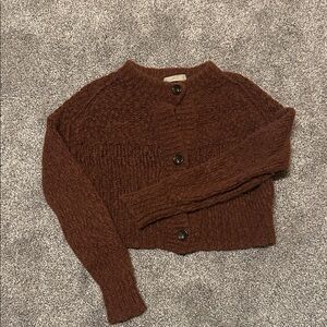 Everlane Wool & Alpaca Cardigan  Brown Women's Sweater